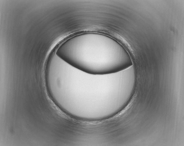 X0000116331122200912010959
