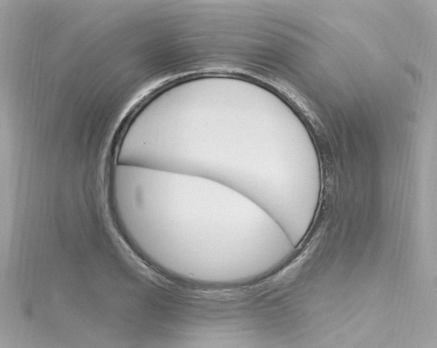 X0000116331126200912010959