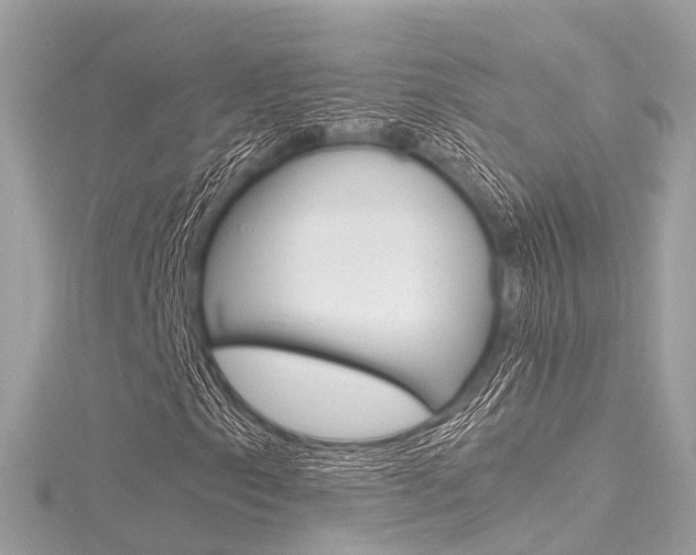 X0000116331153200912010959