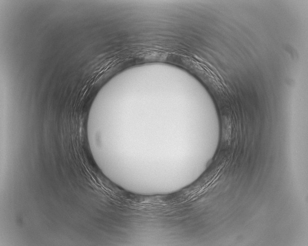 X0000116331154200912010959