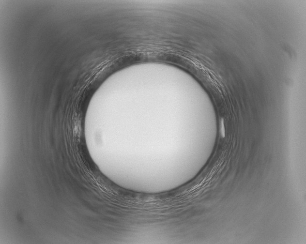 X0000116331155200912010959