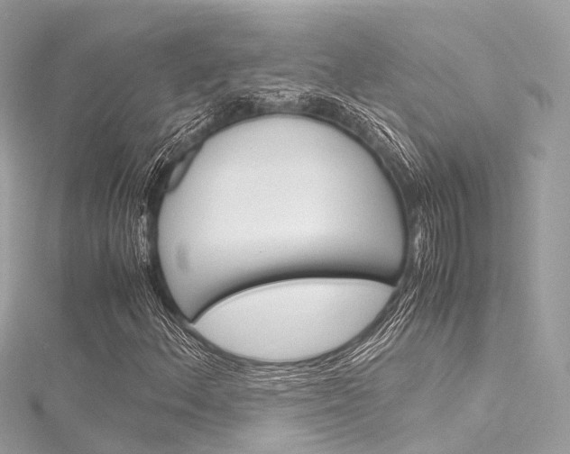 X0000116331156200912010959