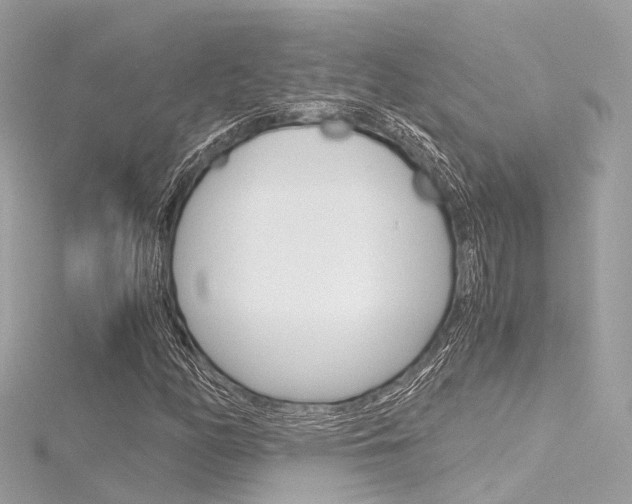 X0000116331158200912010959