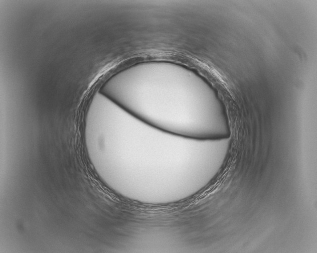 X0000116331160200912010959