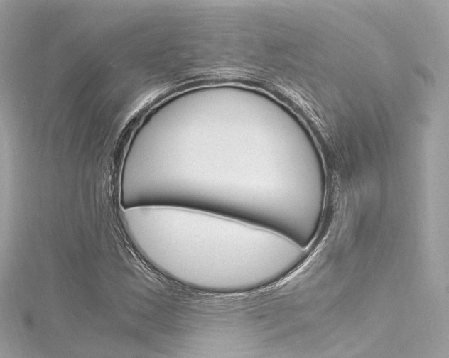 X0000116331163200912010959