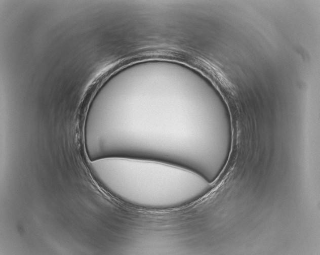X0000116331164200912010959