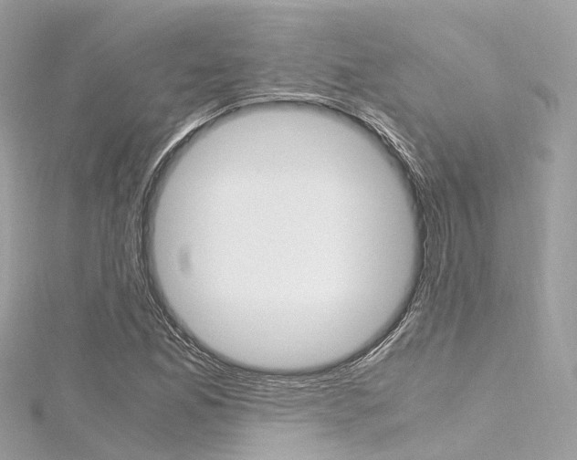 X0000116331165200912010959