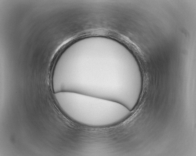 X0000116331166200912010959