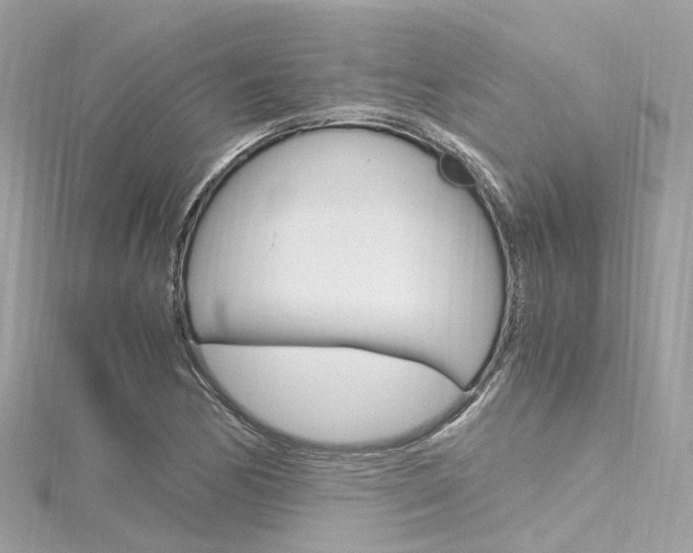 X0000116331170200912010959
