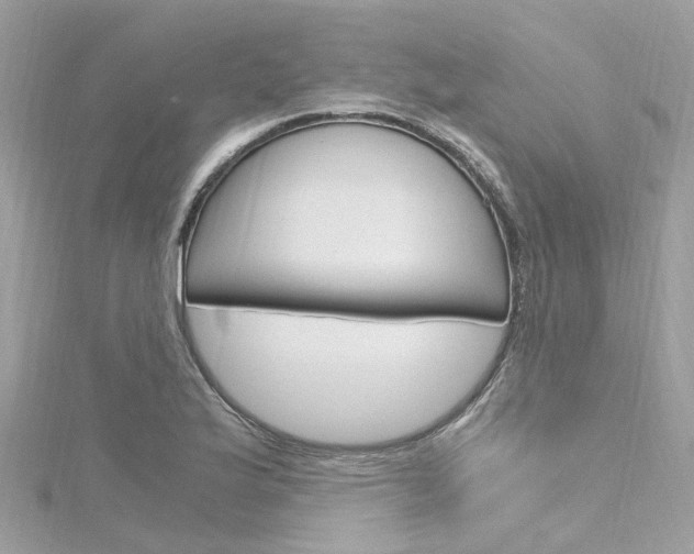 X0000116331175200912010959