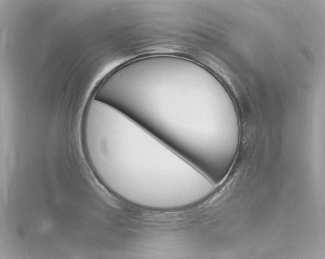 X0000116331179200912010959