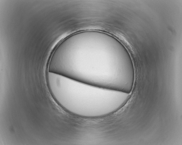 X0000116331181200912010959