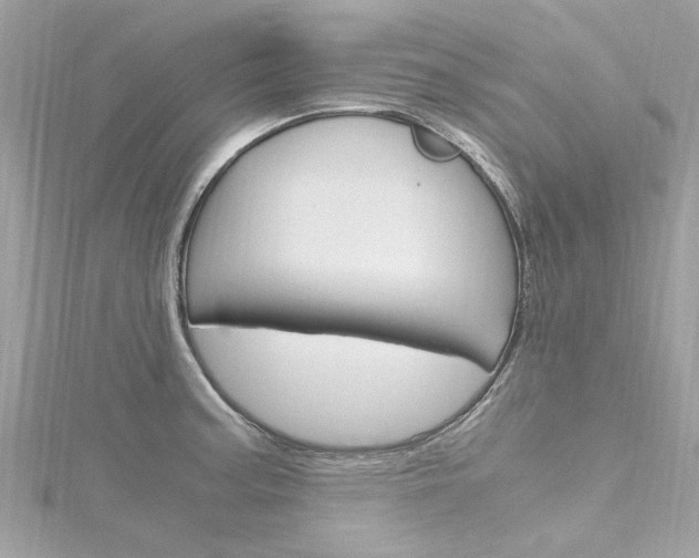 X0000116331187200912010959