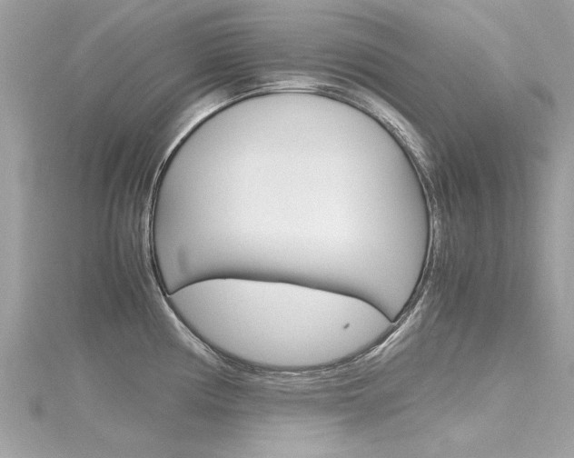 X0000116331194200912010958