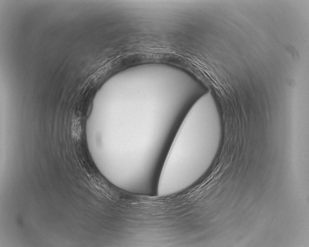X0000116331204200912010958