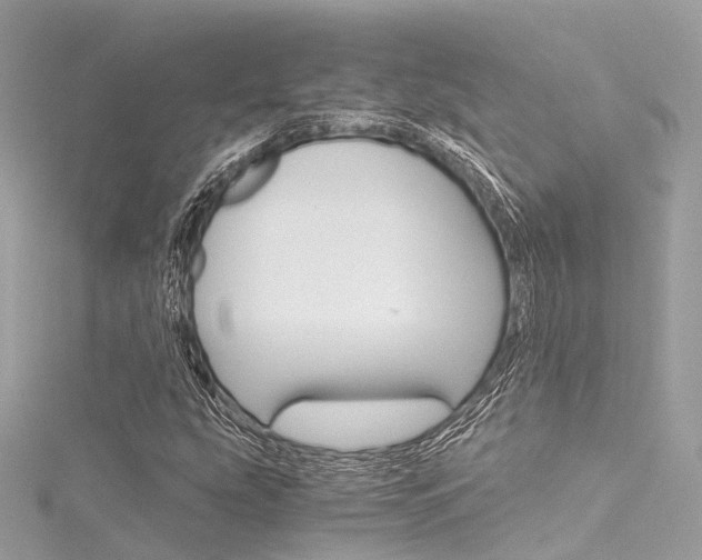 X0000116331207200912010958