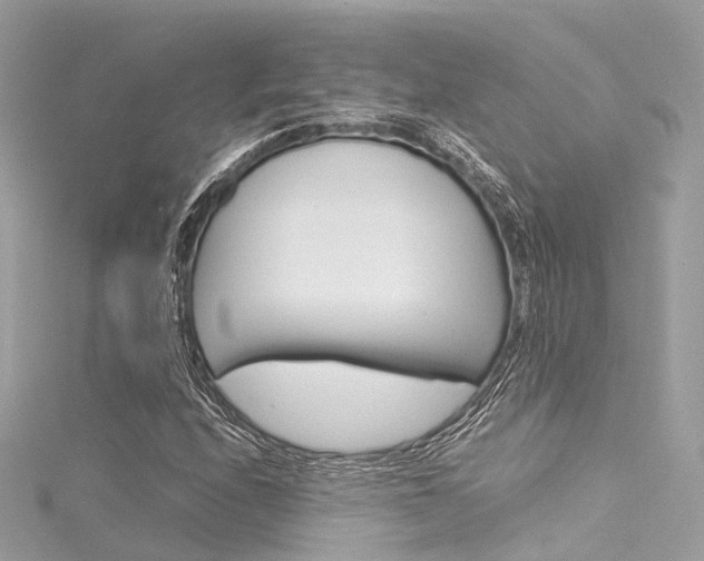 X0000116331208200912010958