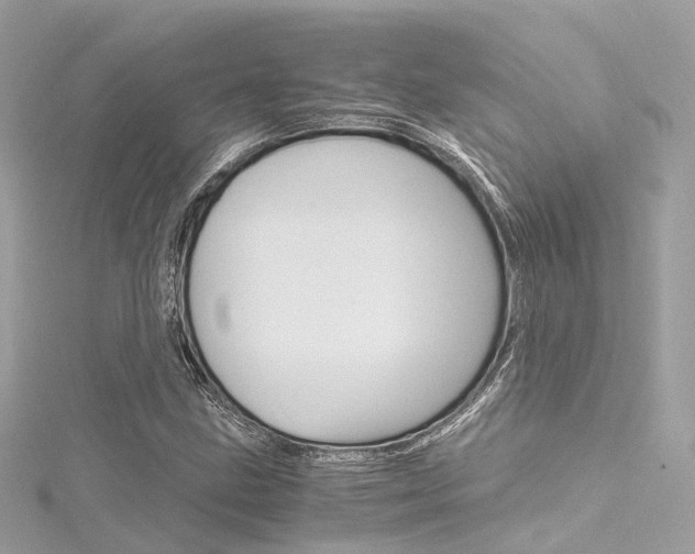 X0000116331211200912010958