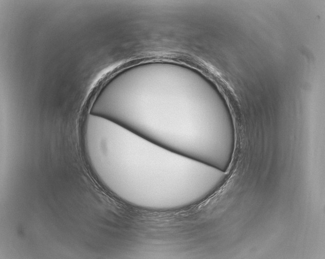 X0000116331214200912010958
