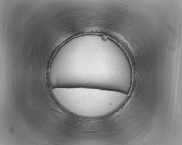 X0000116331217200912010958