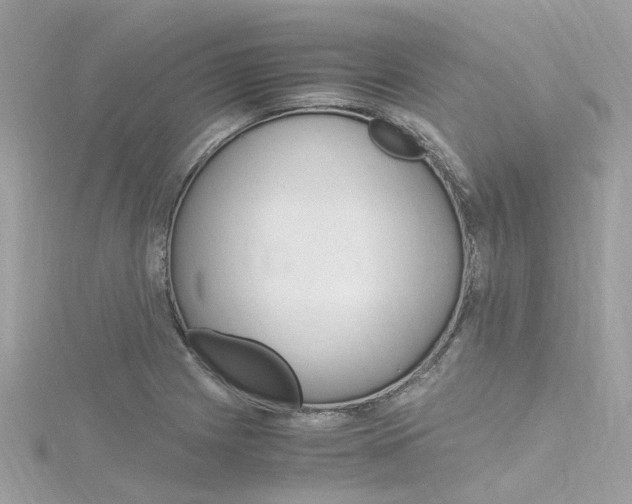X0000116331225200912010958