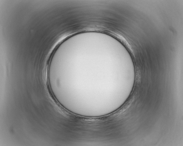 X0000116331227200912010958