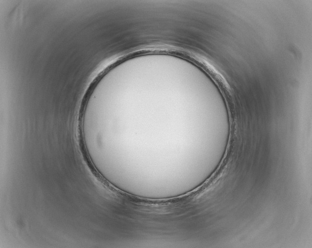 X0000116331229200912010958