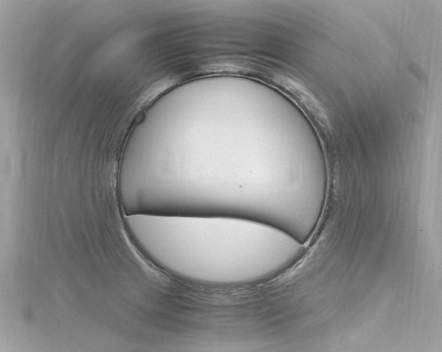 X0000116331233200912010958