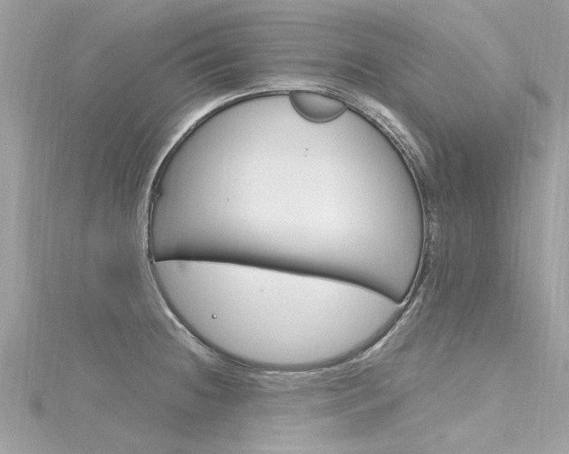 X0000116331236200912010958
