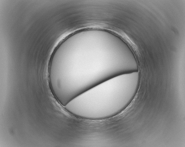X0000116331240200912010958