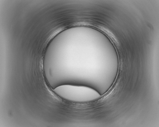 X0000116331241200912010958