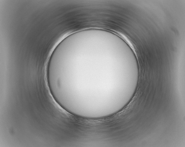 X0000116331243200912010958