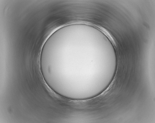 X0000116331244200912010958
