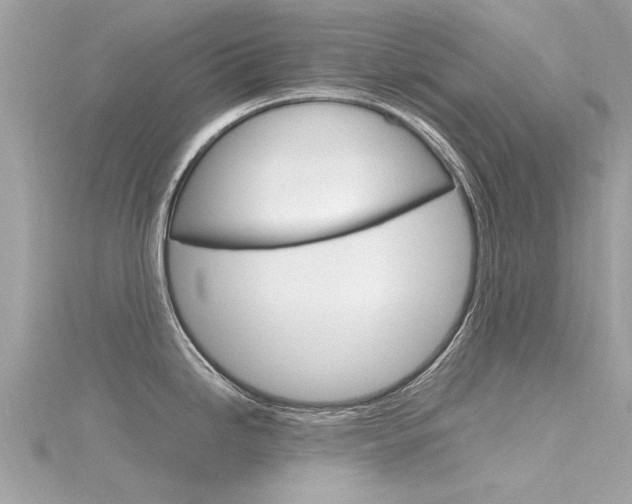 X0000116331246200912010958