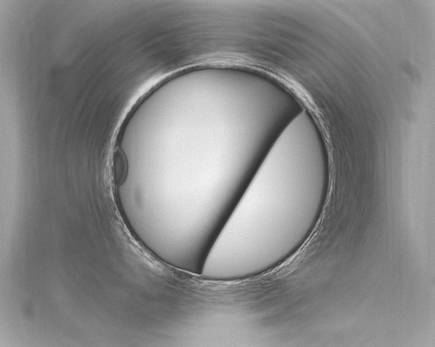 X0000116331248200912010958
