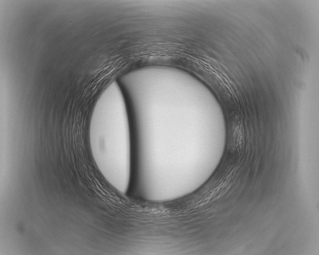 X0000116331250200912010958