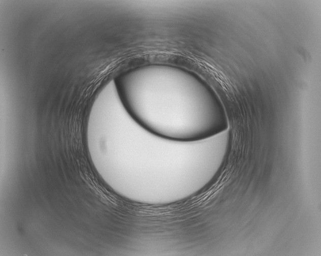 X0000116331252200912010958