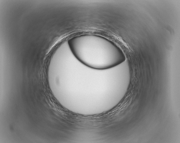 X0000116331256200912010958