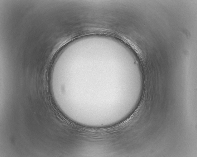 X0000116331261200912010957