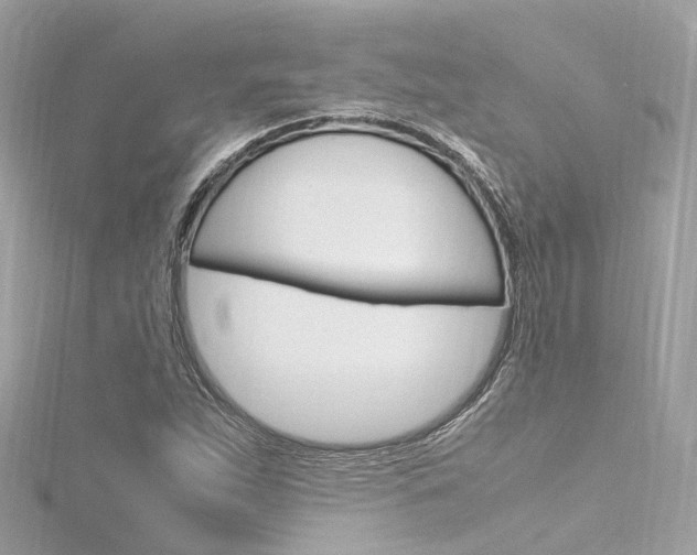 X0000116331263200912010957
