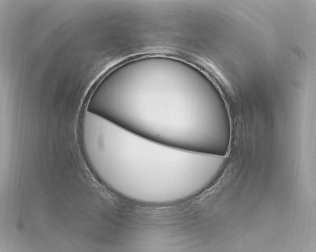 X0000116331268200912010957
