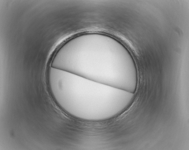X0000116331270200912010957