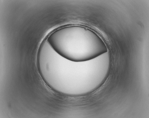 X0000116331272200912010957