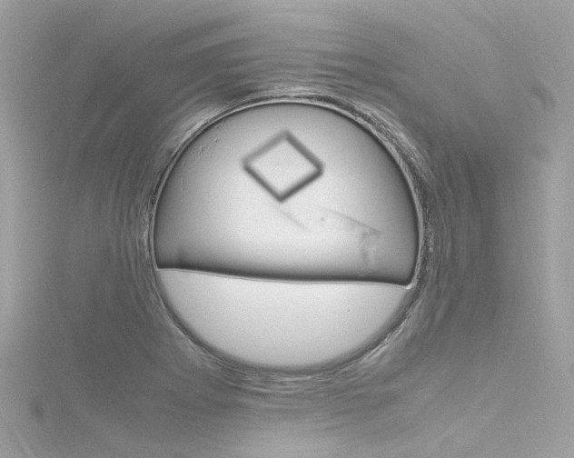 X0000116331273200912010957