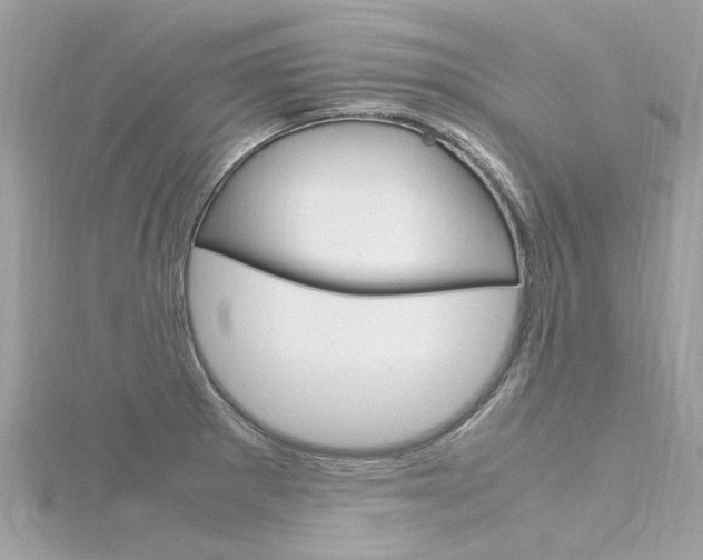 X0000116331281200912010957