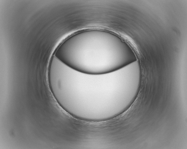 X0000116331288200912010957