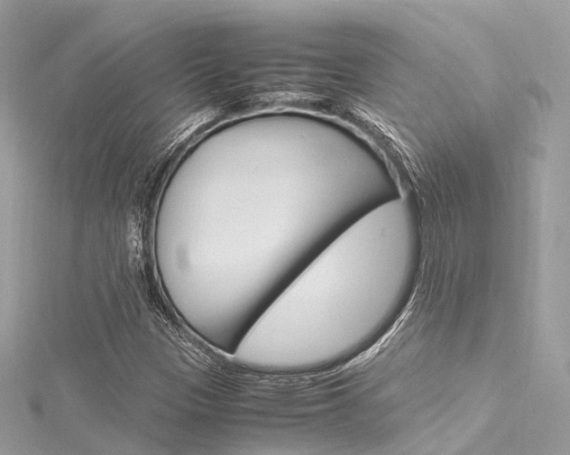 X0000116331305200912010957