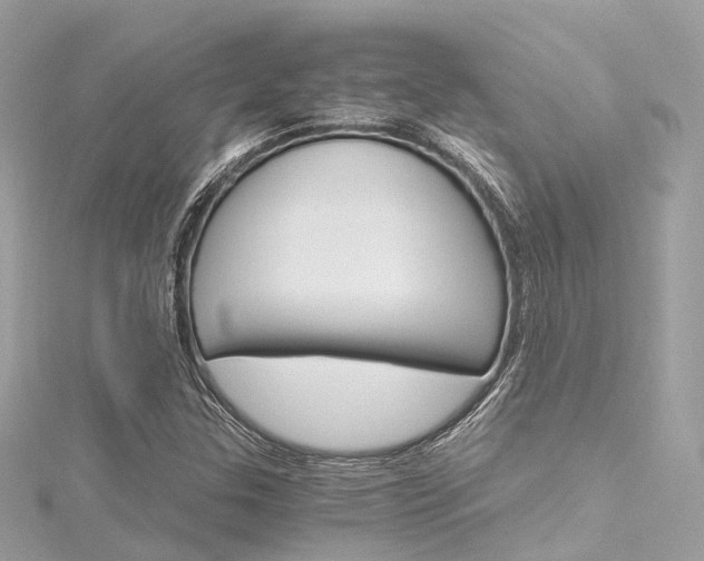 X0000116331307200912010957