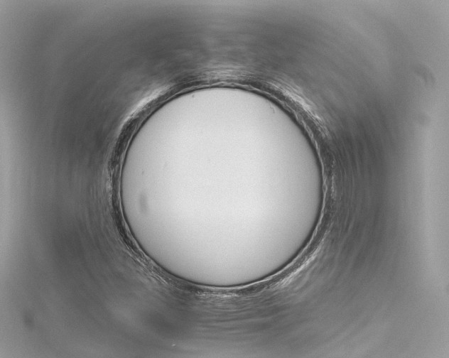 X0000116331309200912010957