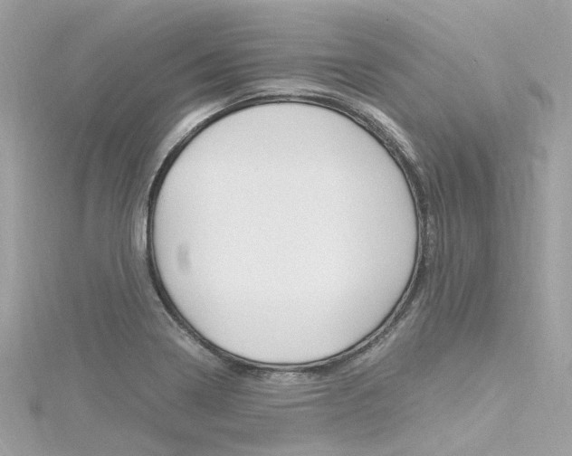 X0000116331322200912010957